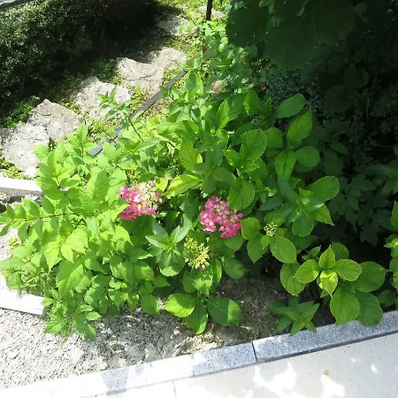 Haus Aschau Apartment Bad Ischl Exterior photo