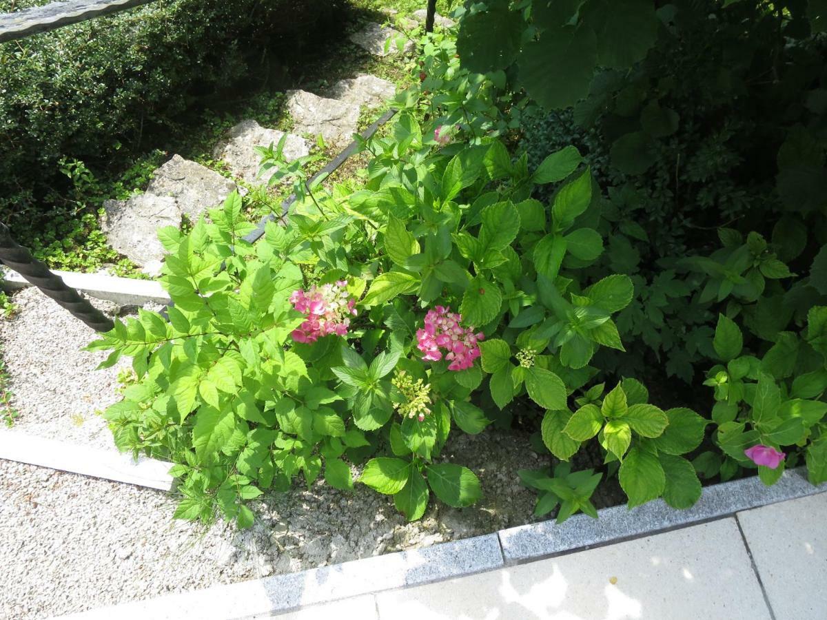 Haus Aschau Apartment Bad Ischl